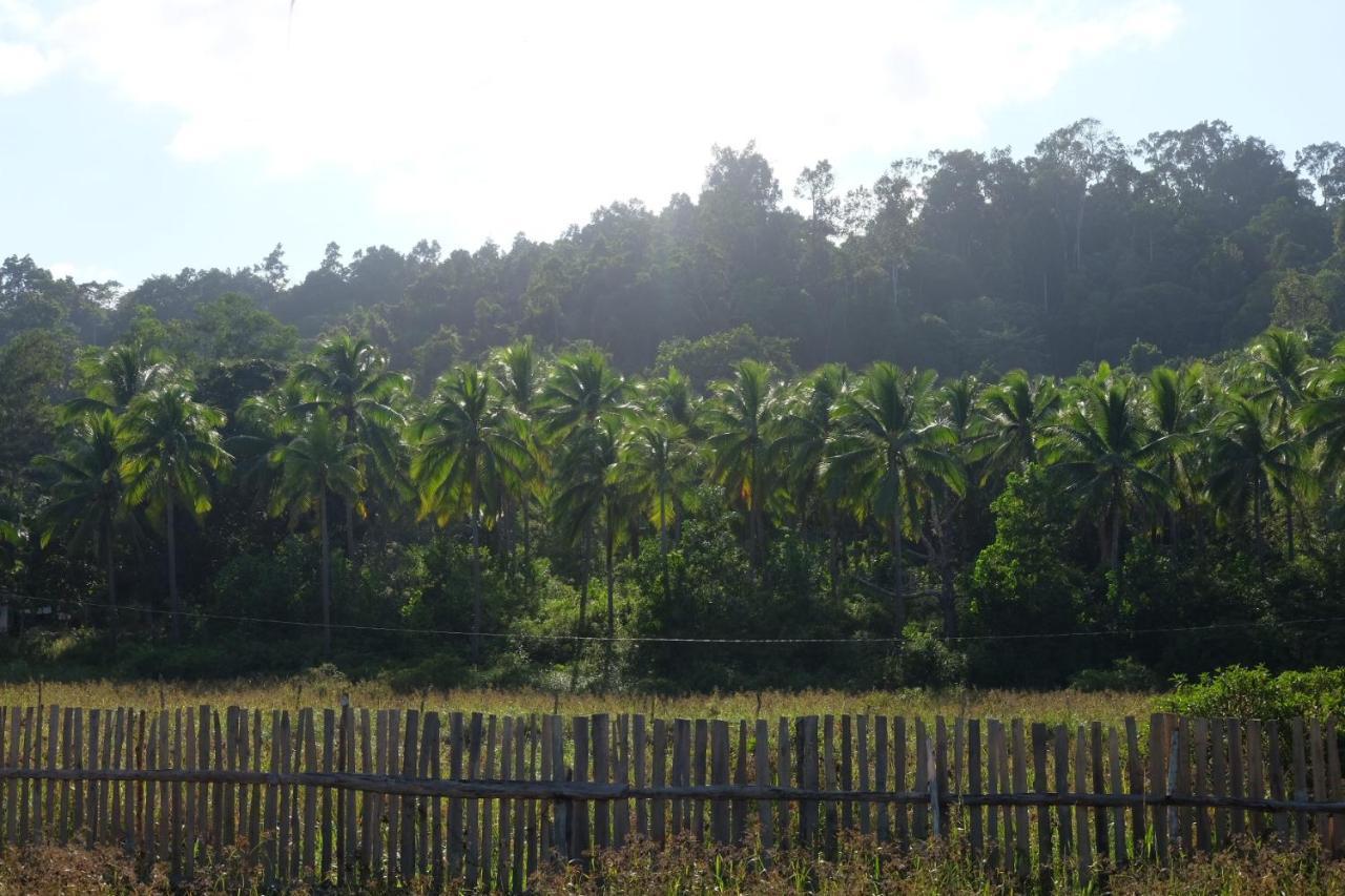 Palayan Paradise Huts San Vicente  Exterior photo
